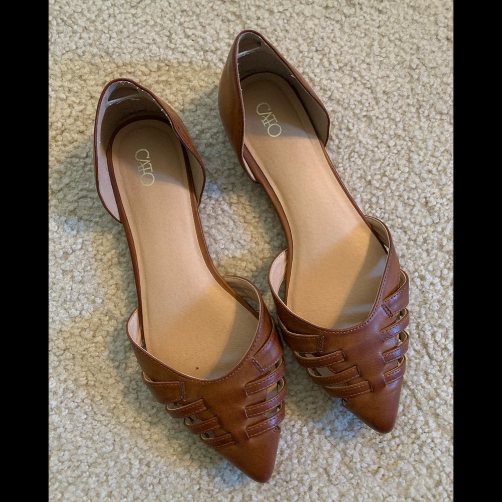 Brown Pointed Flats